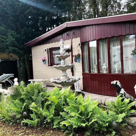 Retro Relax Resort Midden In Het Bos Op De Veluwe In Putten Eksteriør bilde