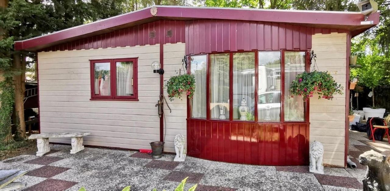 Retro Relax Resort Midden In Het Bos Op De Veluwe In Putten Eksteriør bilde